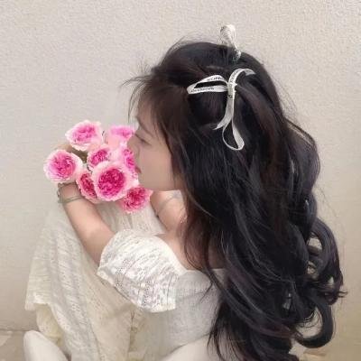 金榜题名之状元归乡